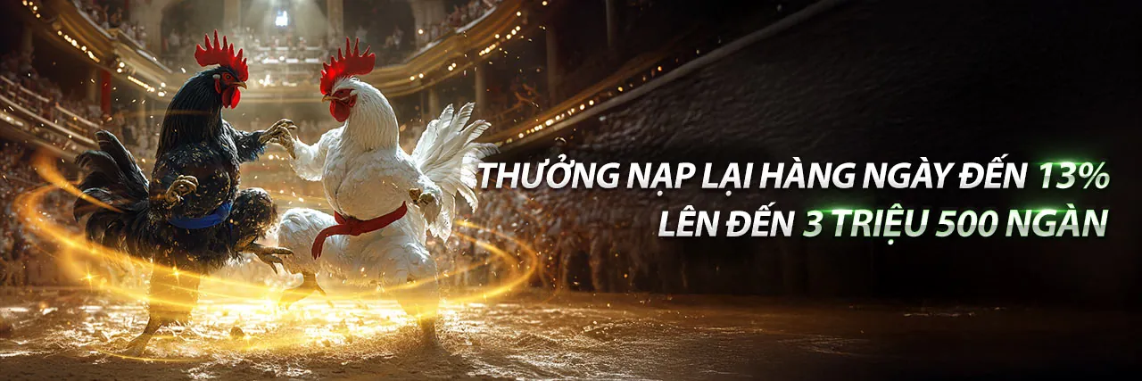 Sân chơi đá gà trực tuyến gg88kjc trang chủ